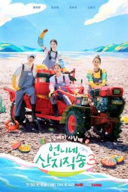 Hương Vị Của Biển (Phần 3) (Fresh Off The Sea (Season 3))