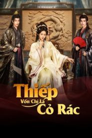 Thiếp Vốn Chỉ Là Cỏ Rác (Revenge From A Wife)